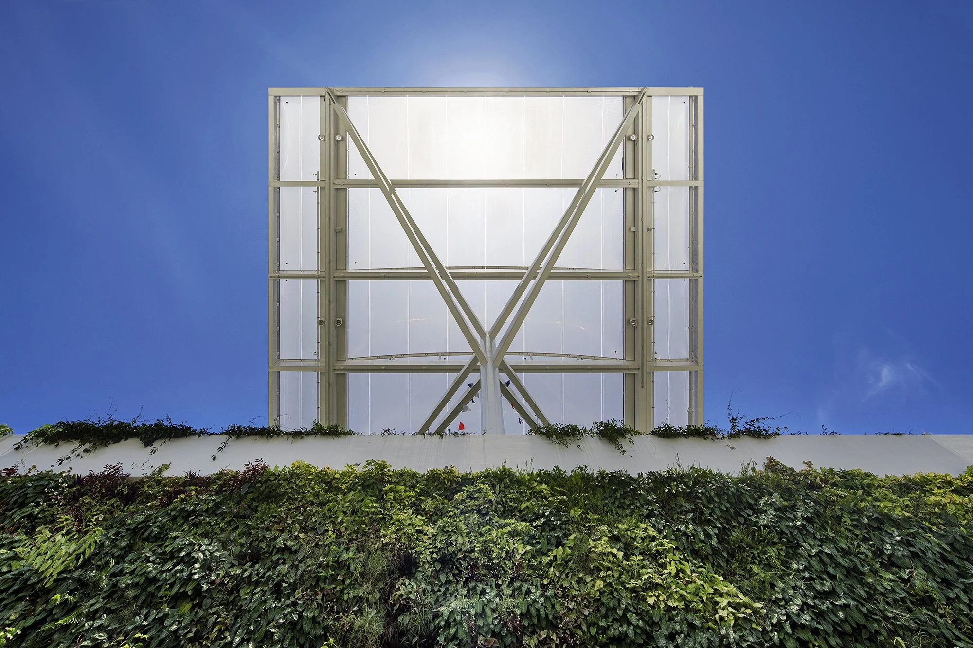 INF_8598 ad_2000.jpg