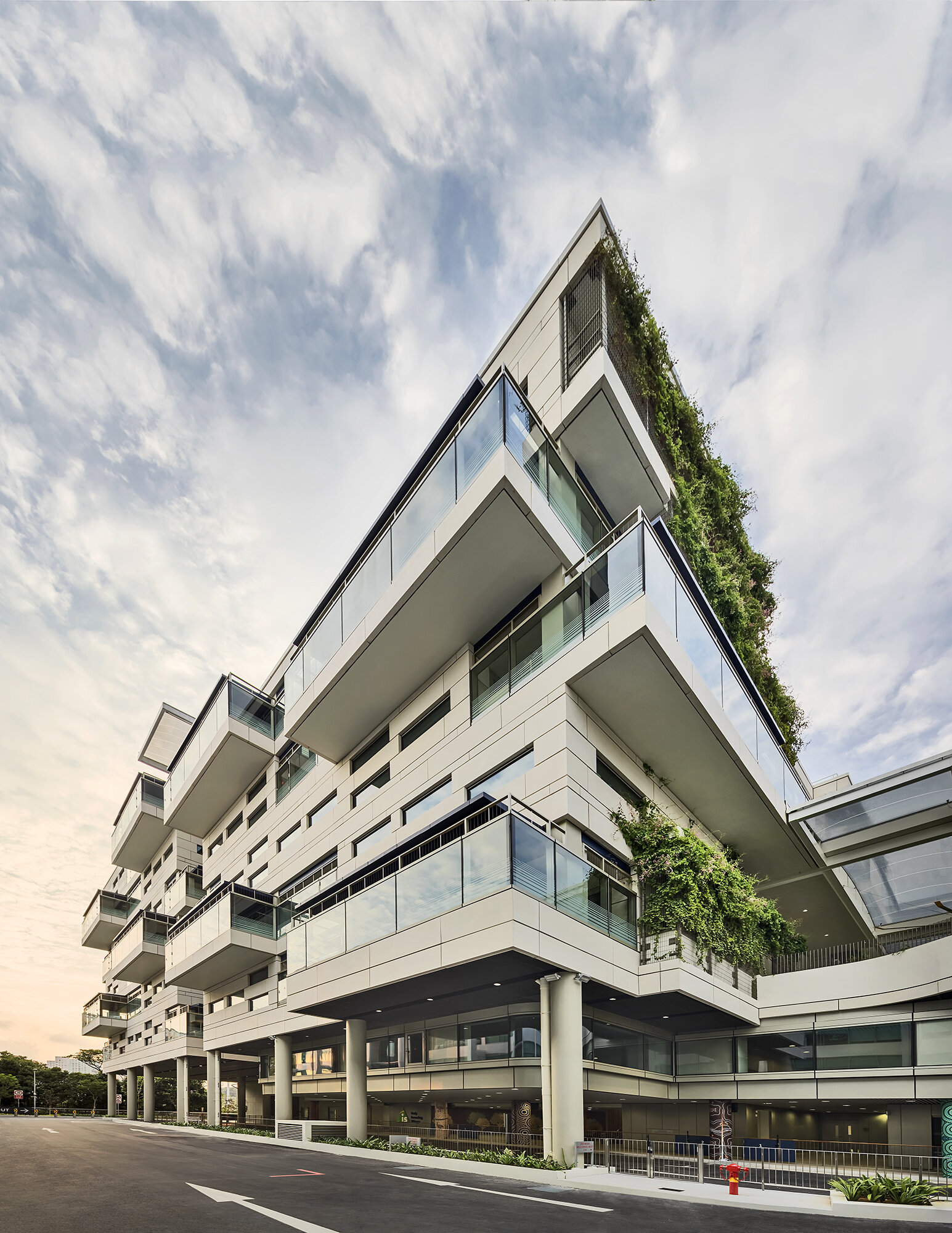 Bogle Architects