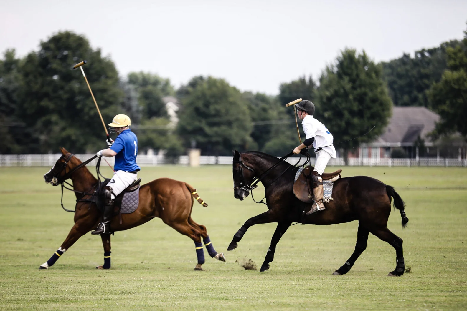 polo faves-6.jpg