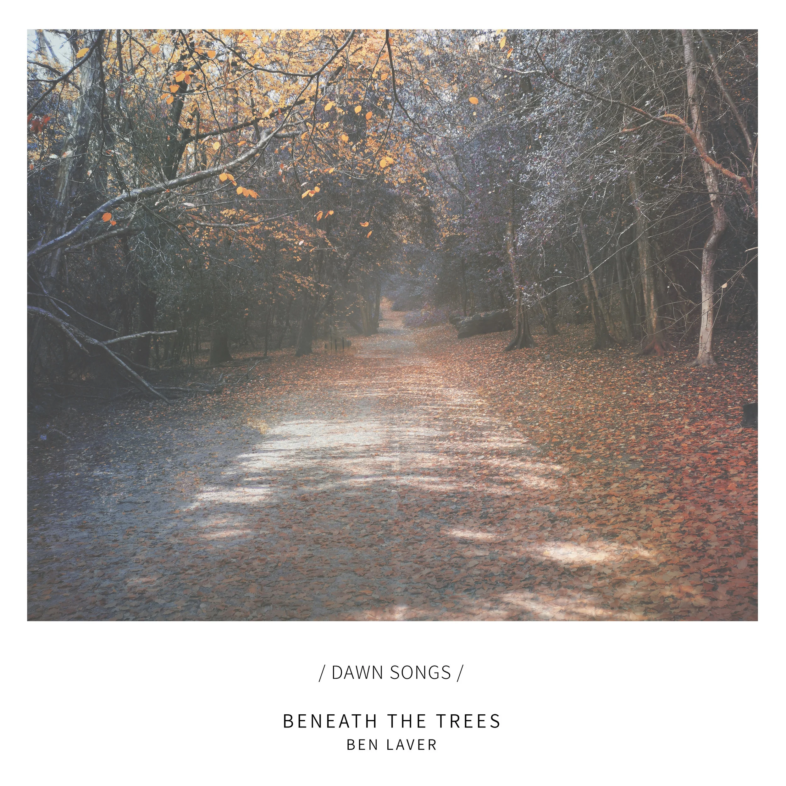 Beneath the Trees.jpg