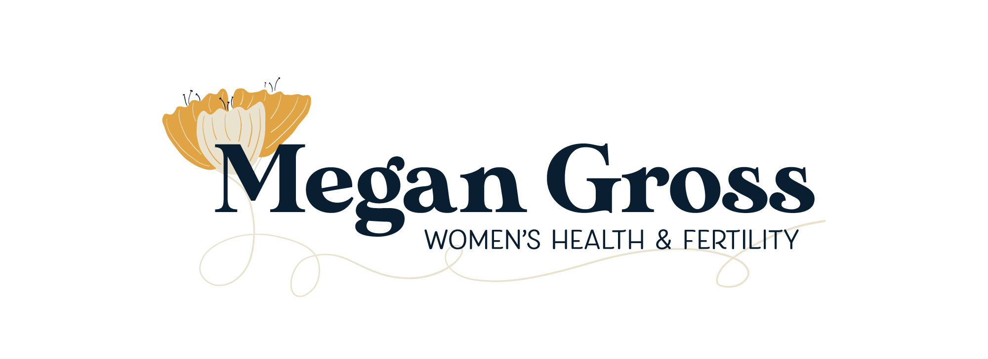 megan gross cnm dubuque logo