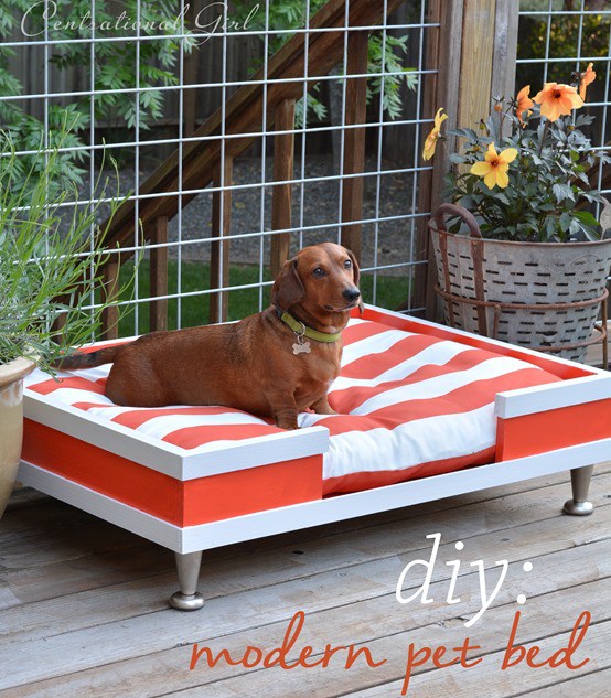 Another fun, vibrant print for a comfy dog bed. Added perk? These sofa beds are portable so whether it's a day for lounging outside, or a Sunday spent inside watching football, your pet and home will be feeling and looking fabulous.