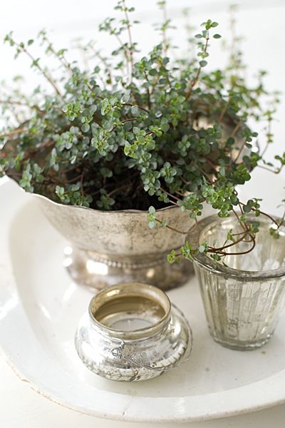 Thyme in antique silver footed bowl. I can almost smell the aroma!