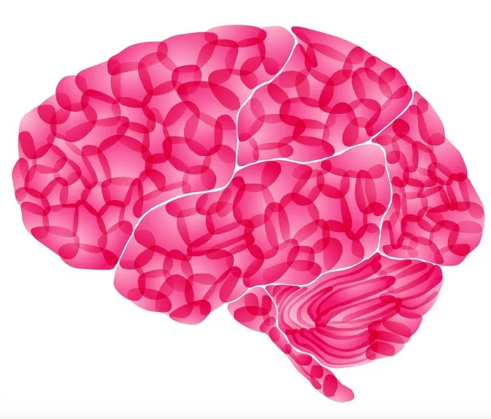 PINKconcussions is 501(c)3 OFFICIAL!!