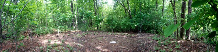 Elemental Landscape_04.jpg