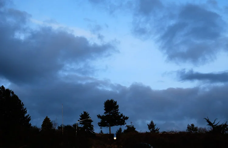 Reflex Solaris_02.jpg