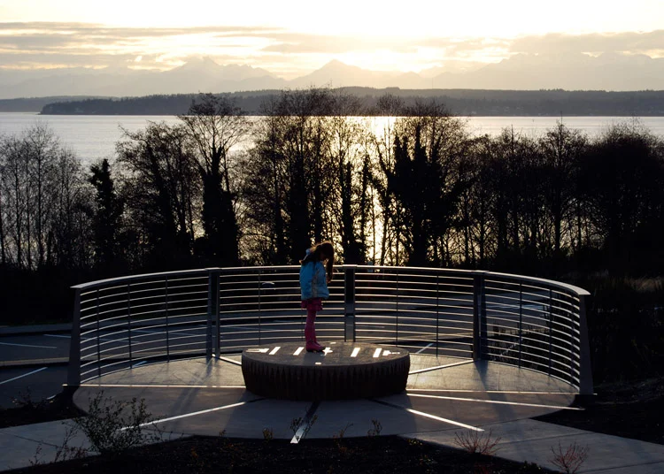 Reflex Solaris_04.jpg