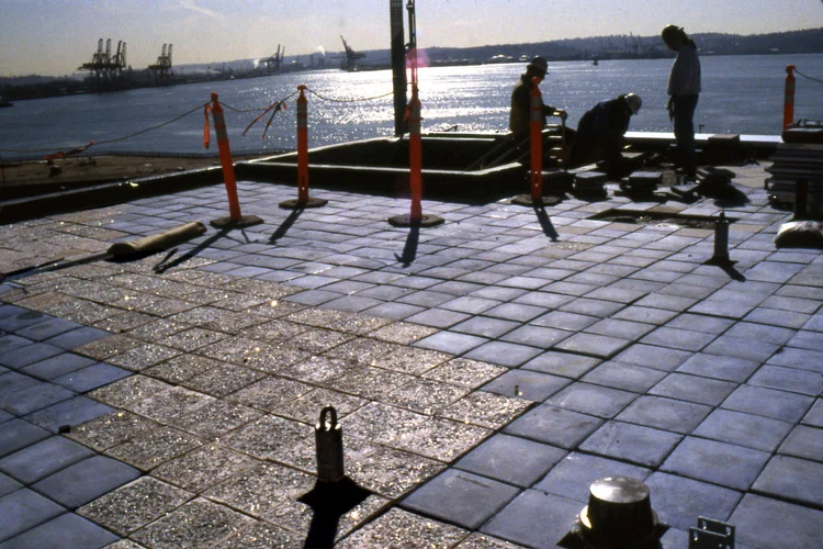 Shimmer Gardens_5.jpg