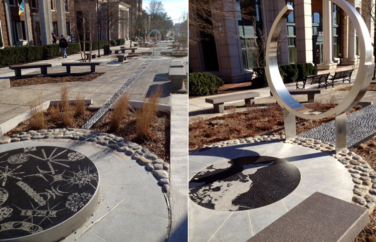 Optical Gardens_07.jpg