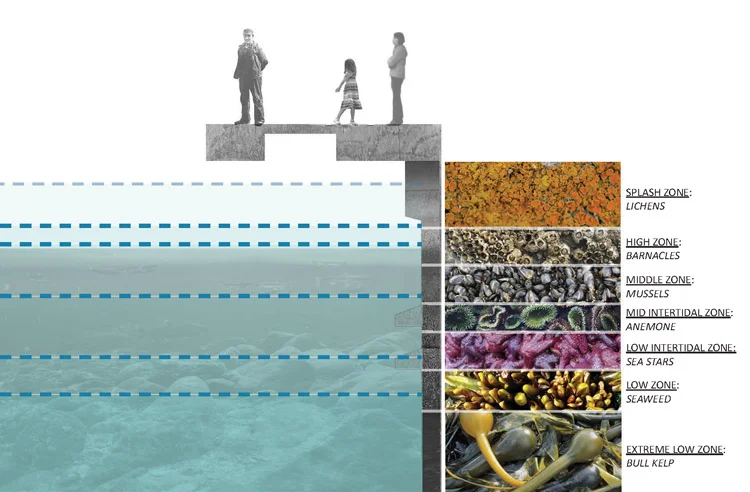 Seawall Texture_01.jpg