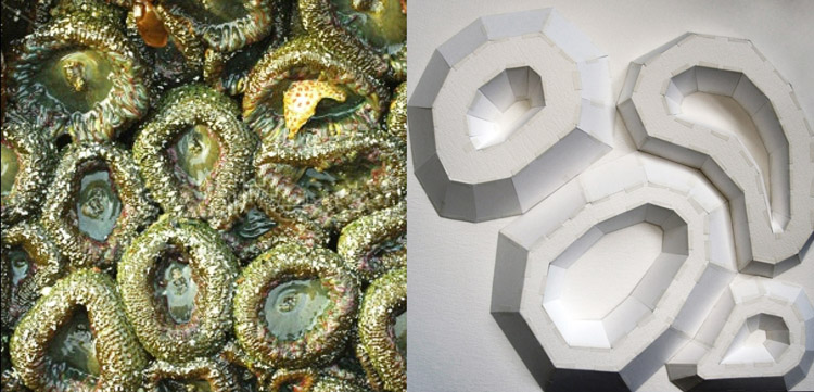 Seawall Texture_08.jpg