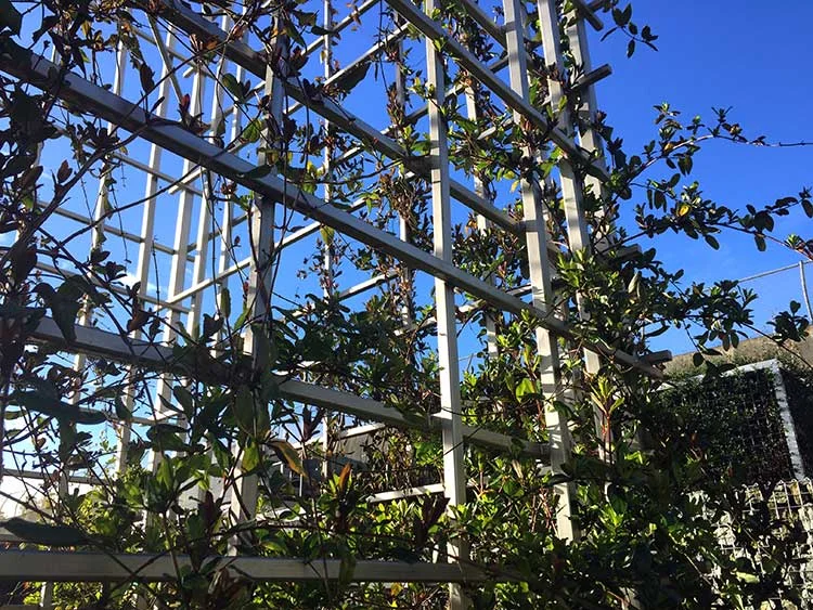 Vine-Tower-detail.jpg