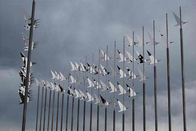 Flock3.jpg