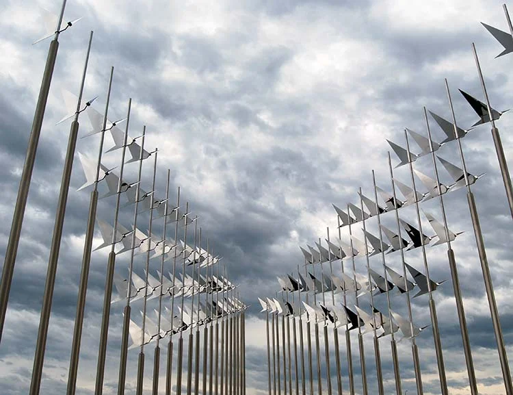 Flock4.jpg