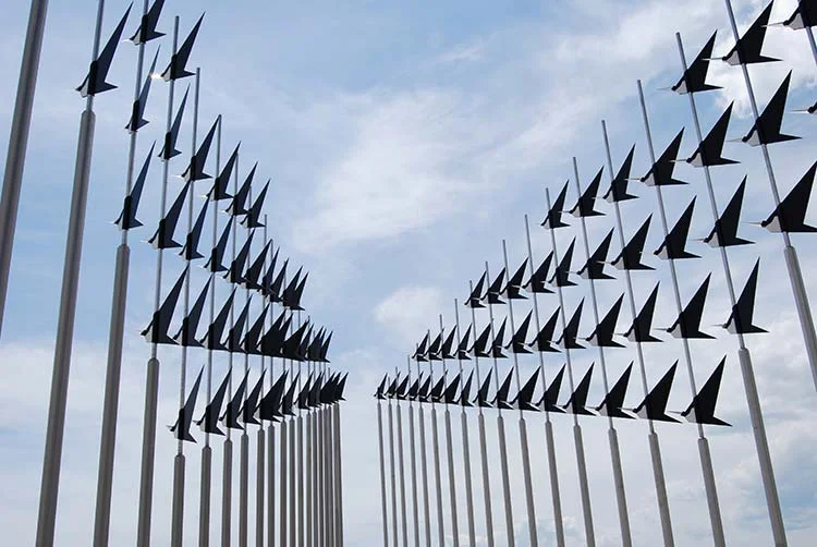 Flock5.jpg