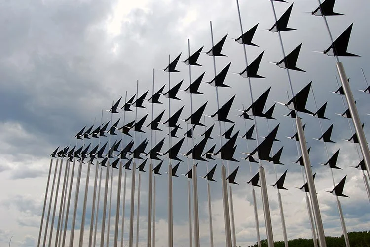 Flock6.jpg