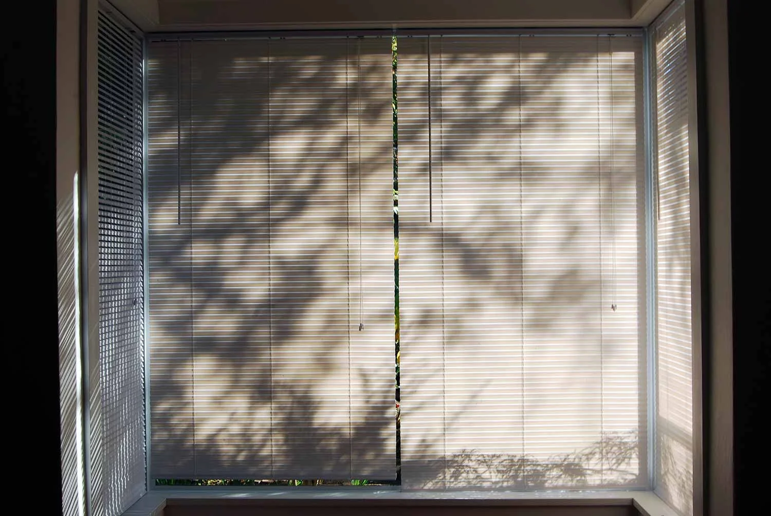 bay-window-blinds.jpg