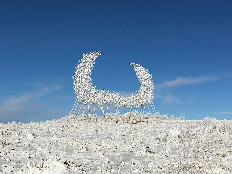 Horns-Snow-web.jpg