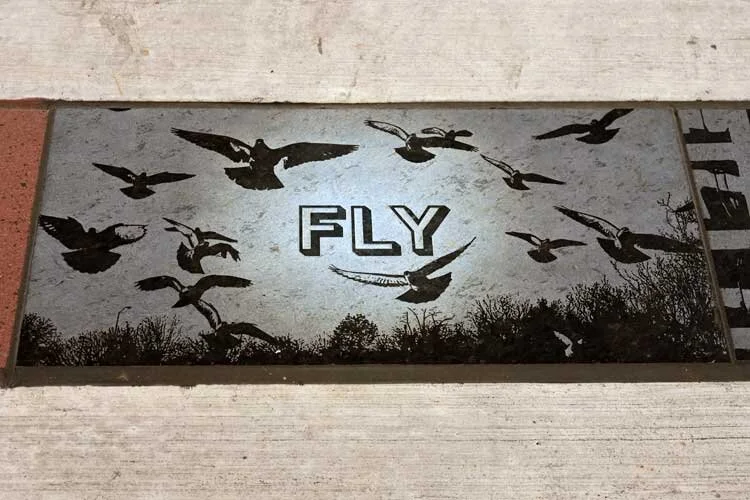 06-fly-birds.jpg