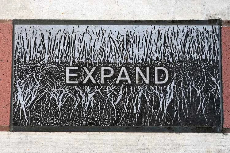 15-expand-roots.jpg