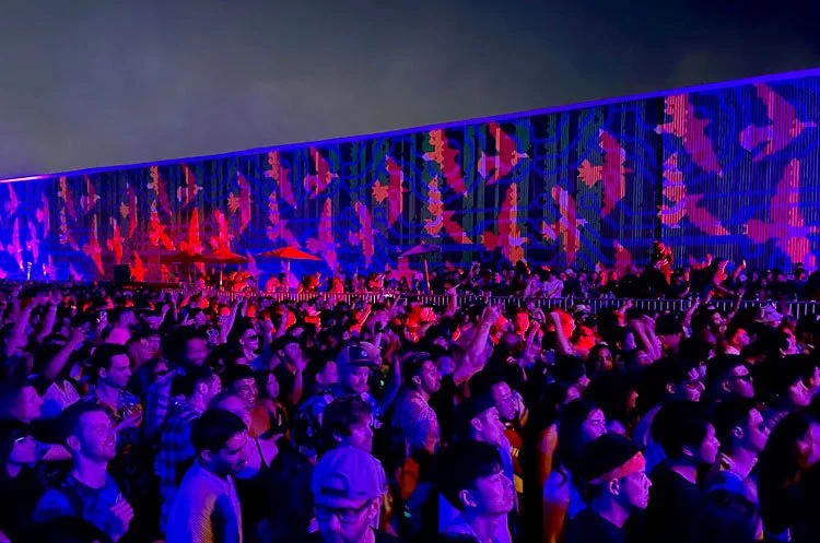 00-Electric-Forest-Violet-Crowd_Haddad-Drugan.jpg