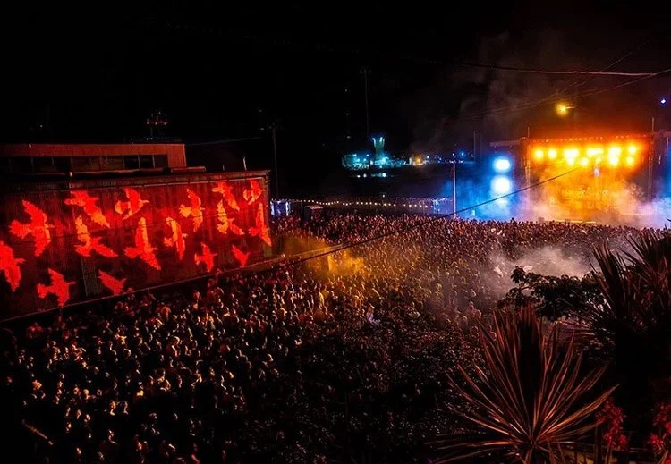 Electric-Forest-aerial.jpg