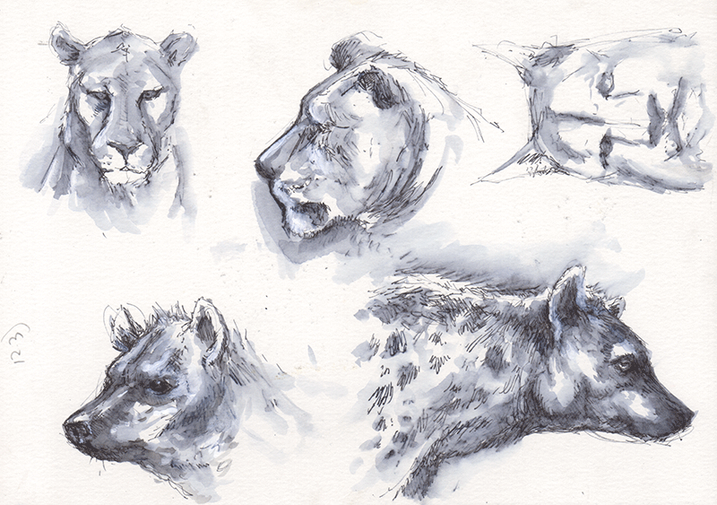 Lioness, hyena, lynx