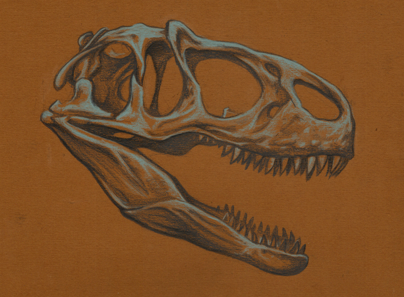 Allosaurus