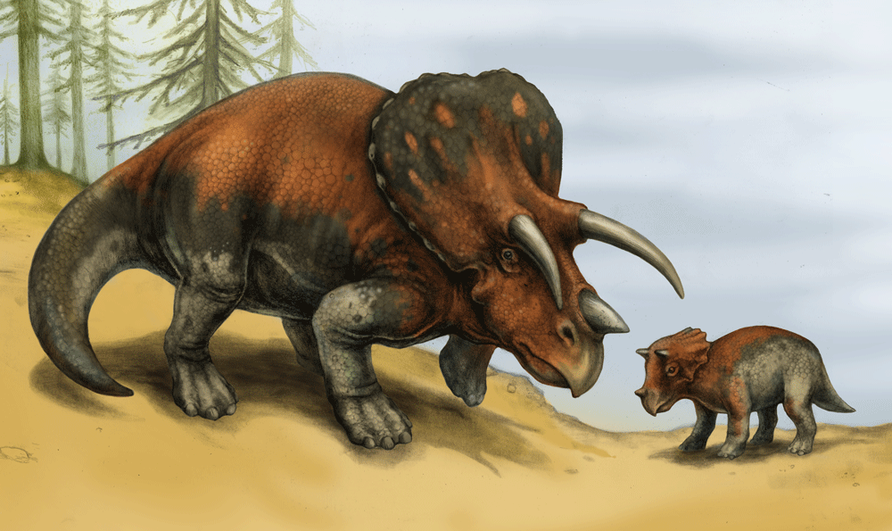 triceratops_with_baby.gif