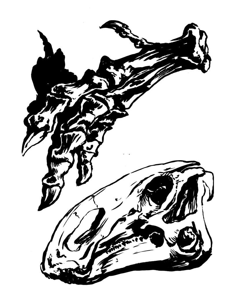 T-Rex foot, Brachylophosaurus