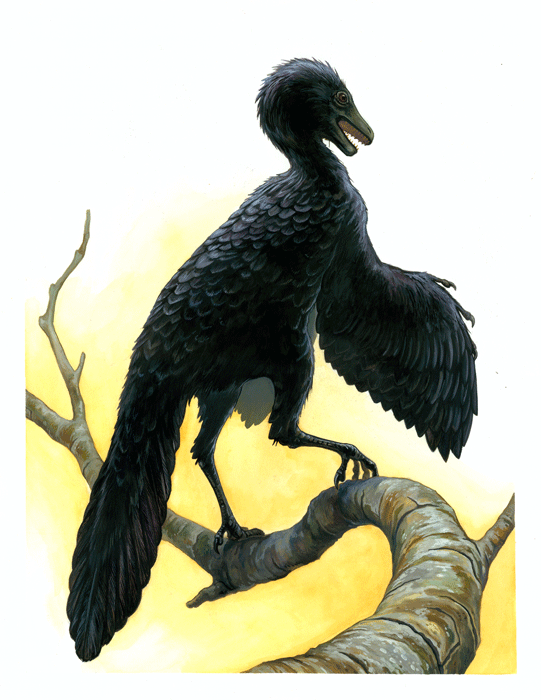 archaeopteryx.gif
