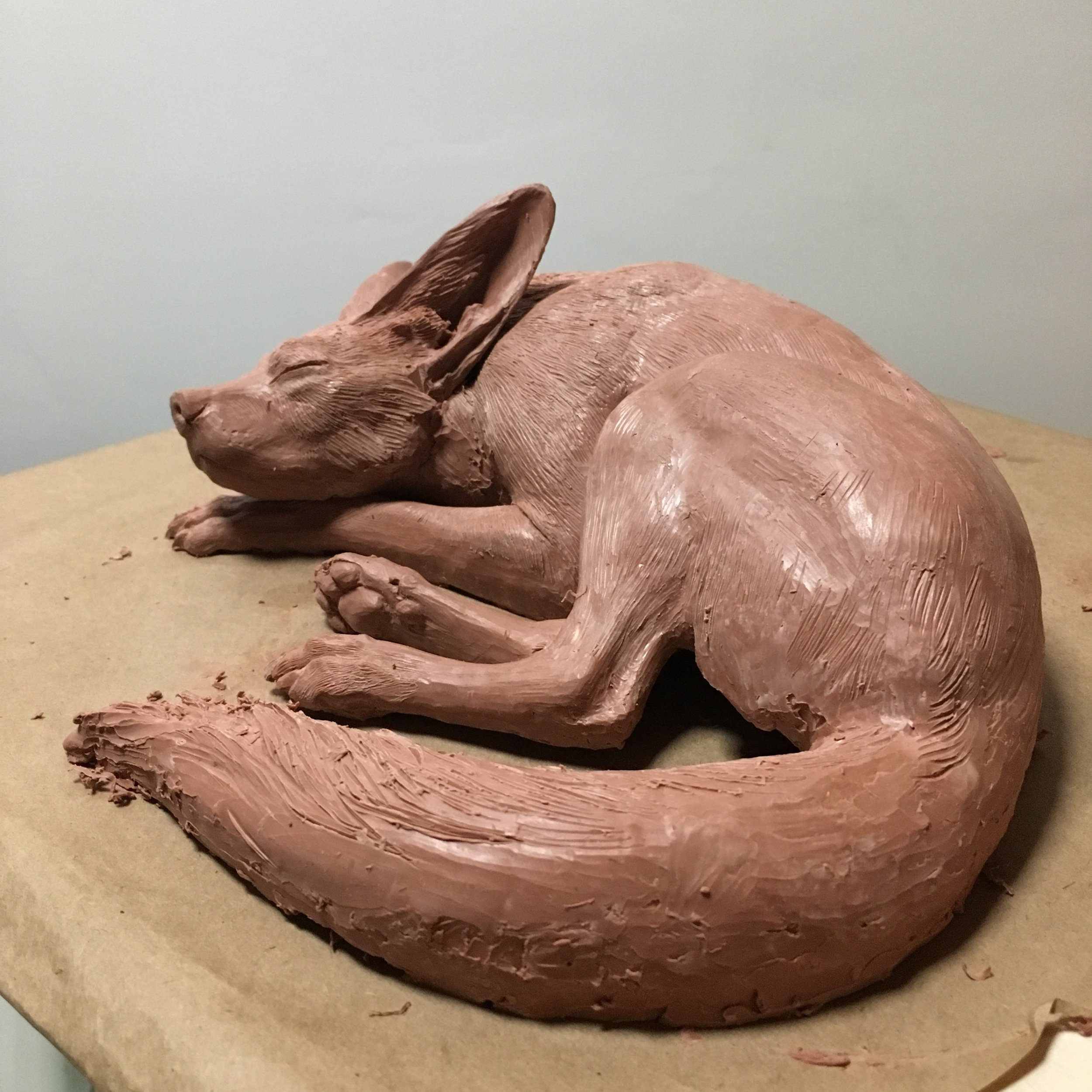 Cynarctoides lemur WIP