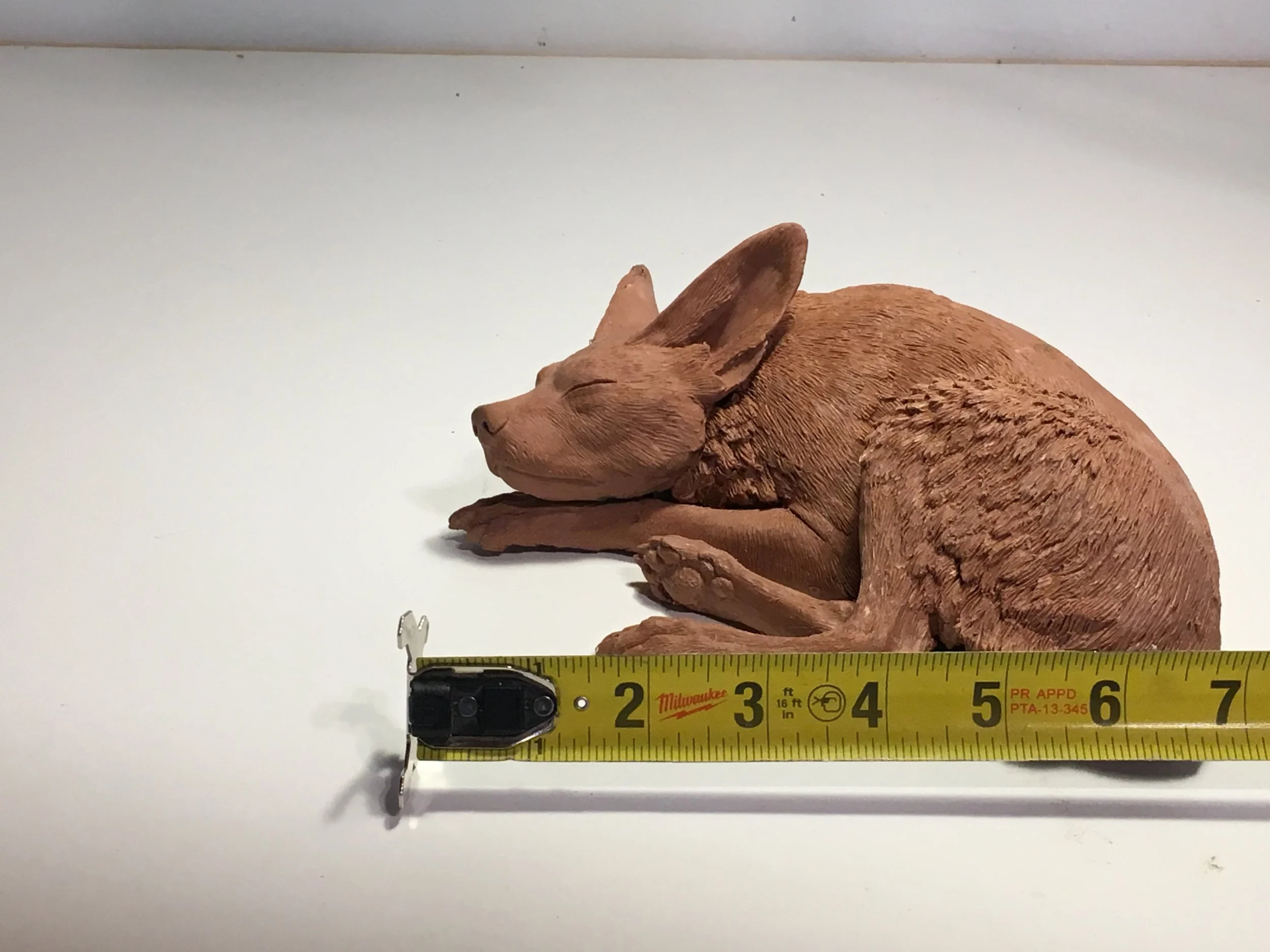 Cynarctoides lemur WIP