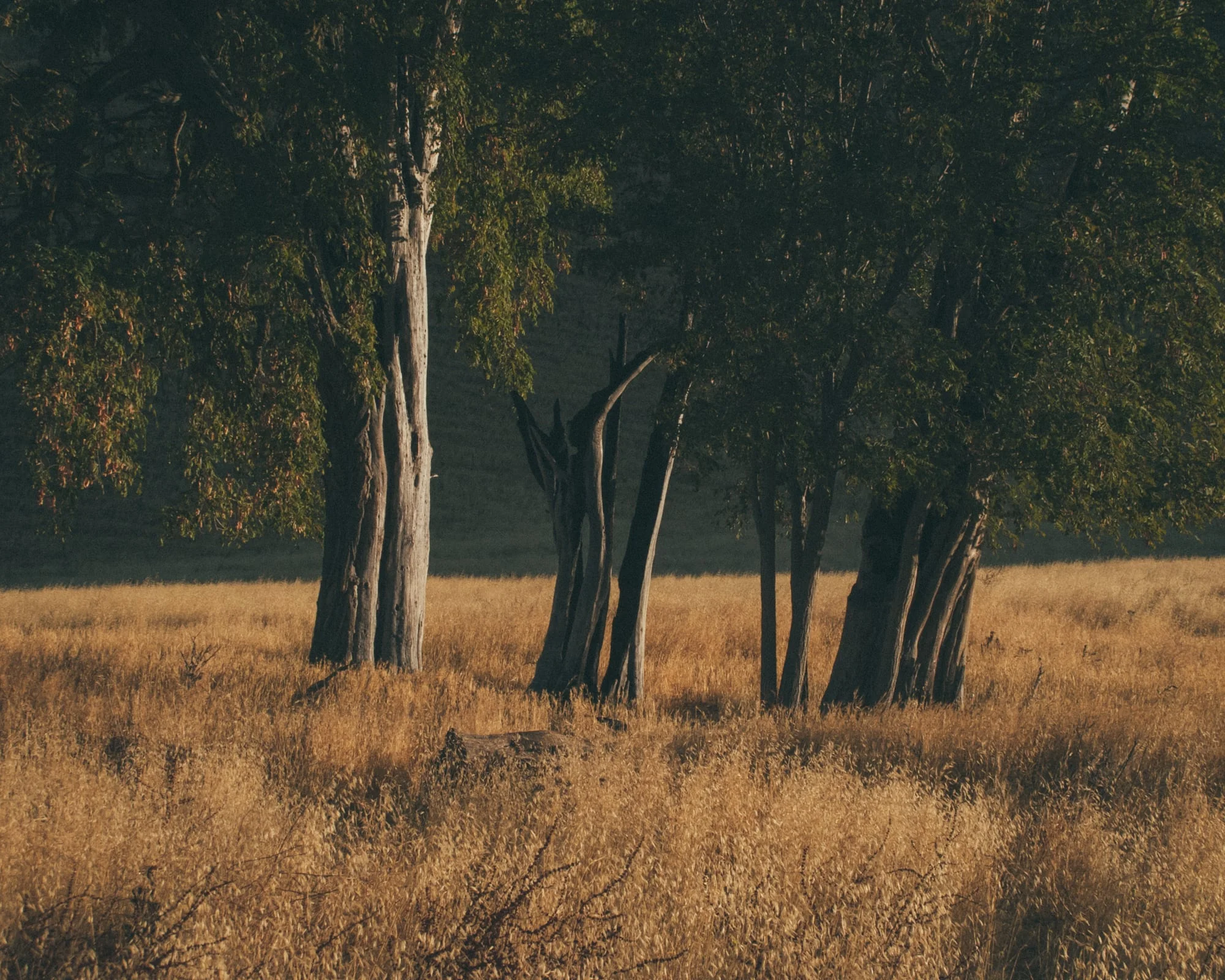 ParchedLandscapes-0060.jpg