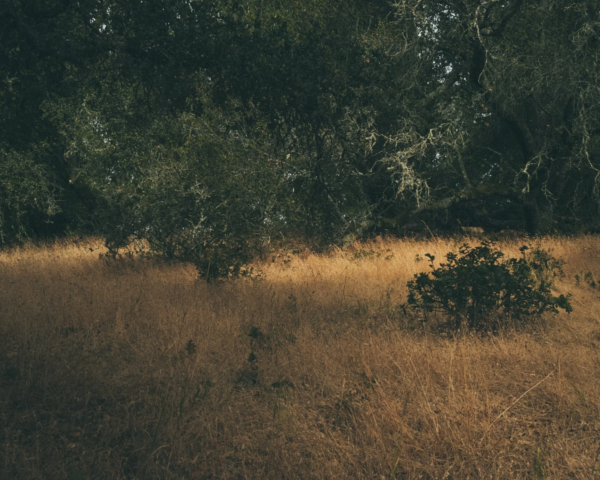 ParchedLandscapes-8238.jpg