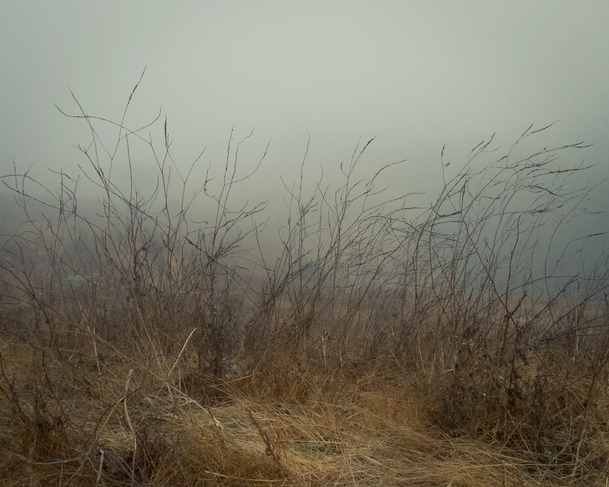 ParchedLandscapes-0086.jpg