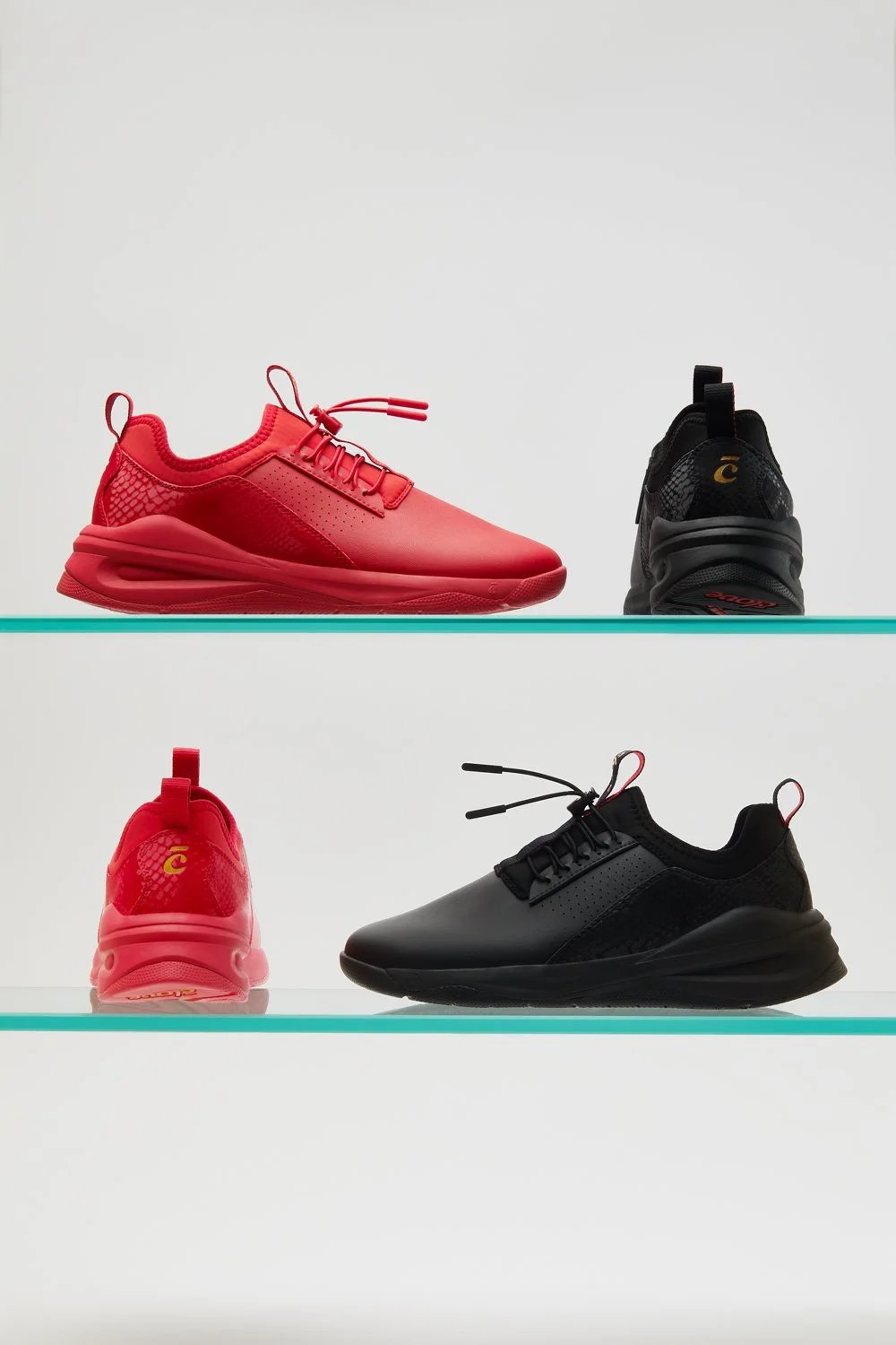 CLOVE PYTHON2877.jpg