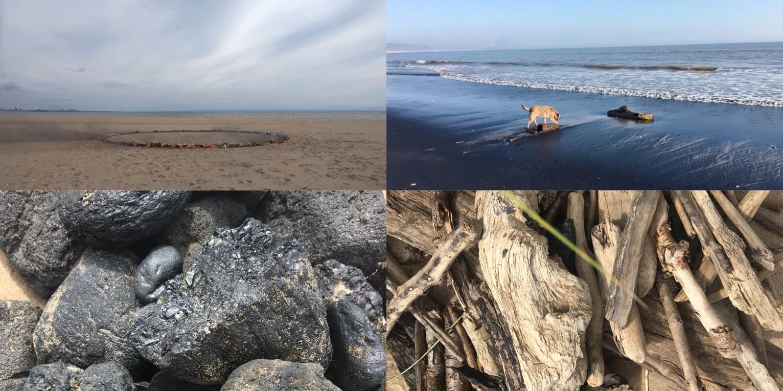 ephemeral_coast_call.jpeg