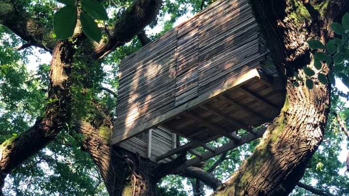 welsh treehouse.jpg
