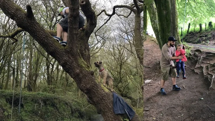 tree swing.jpg