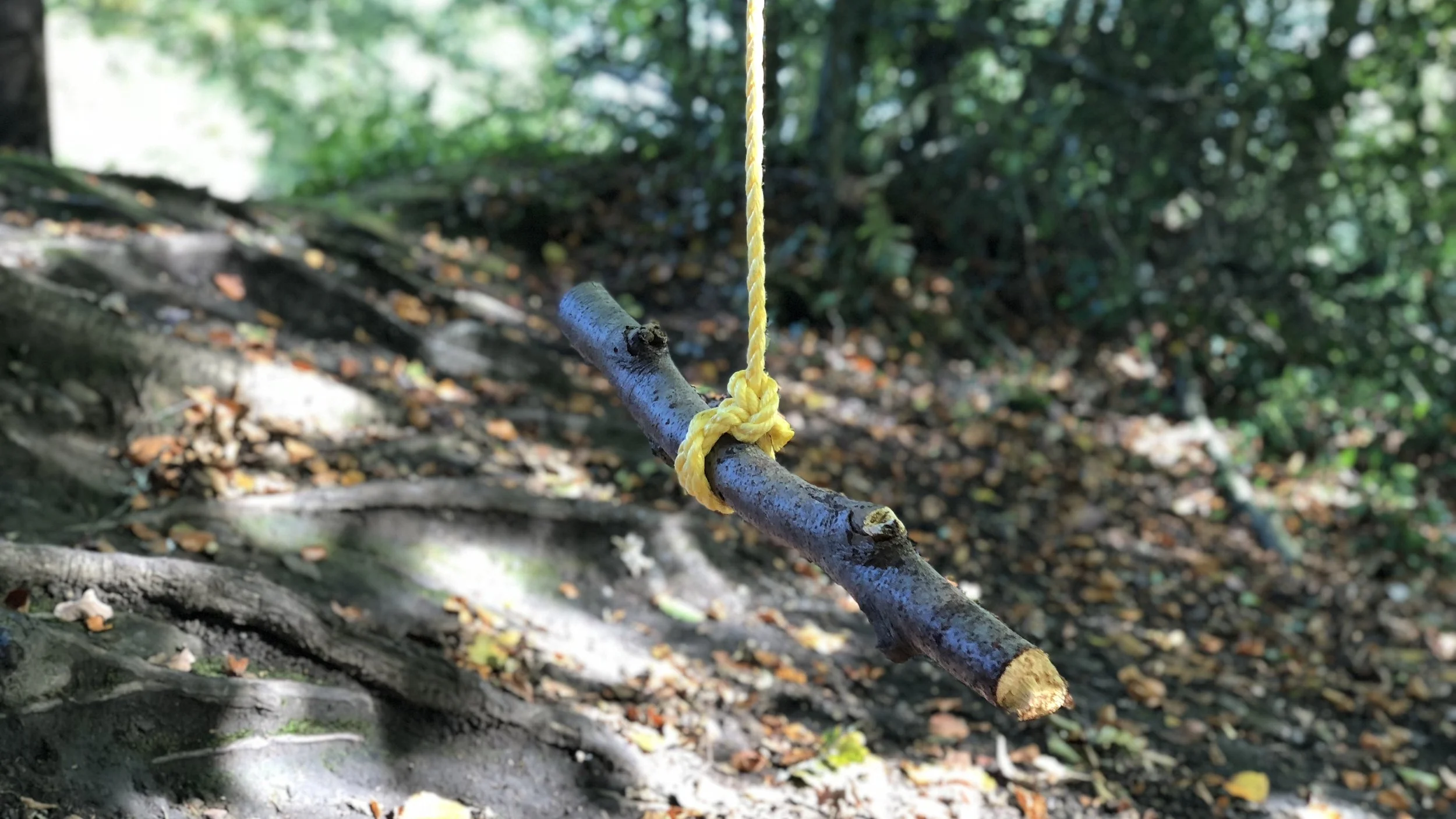 swing.jpg