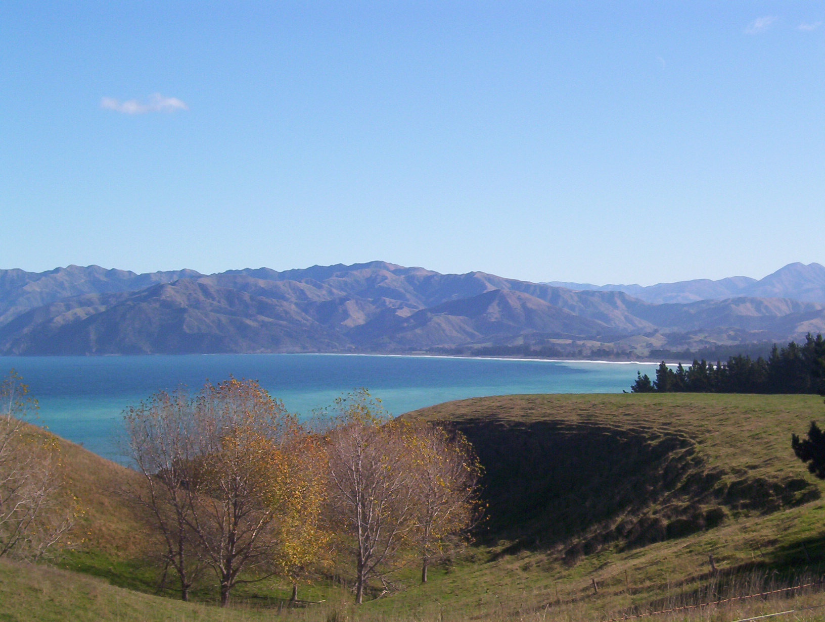 Kaikoura, New Zealand © 2015 Julie Christine Johnson