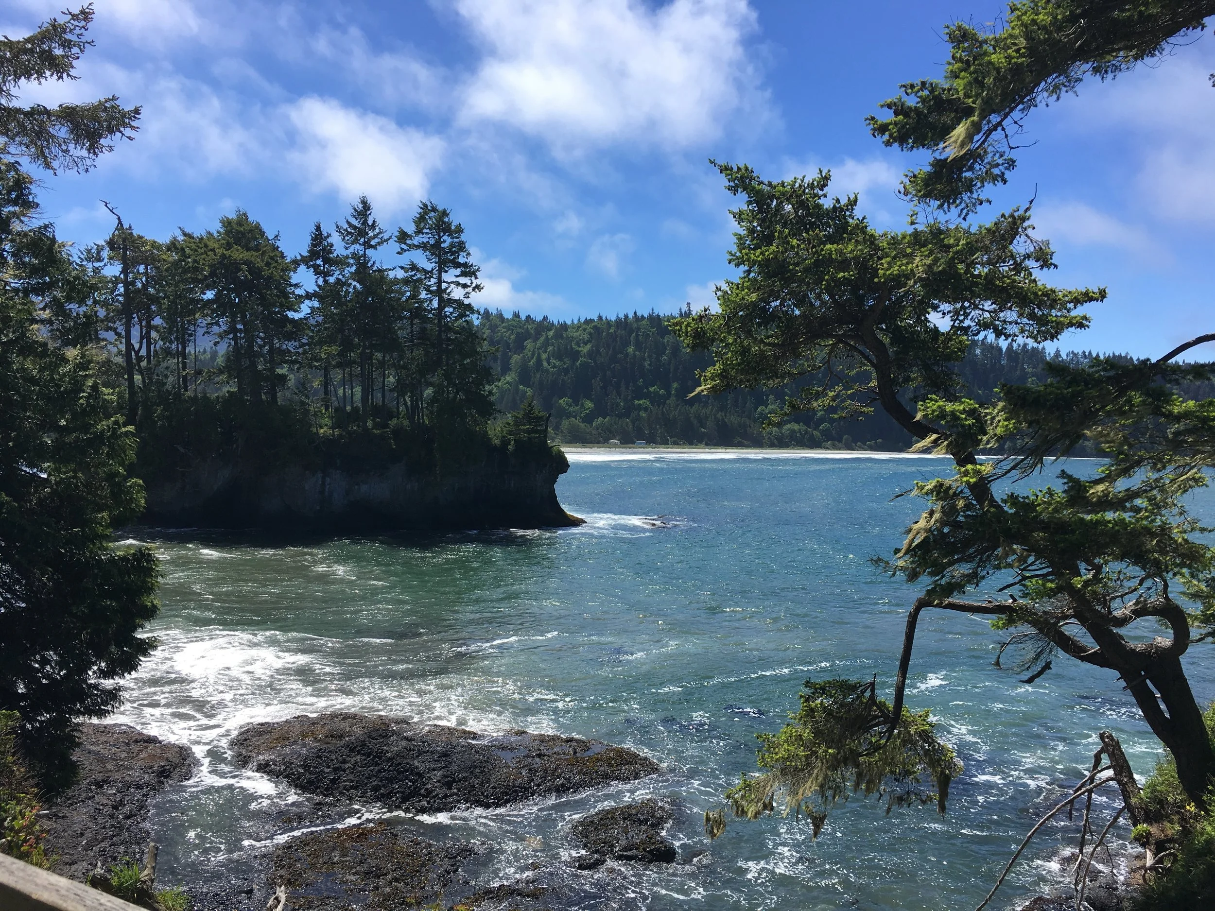 Salt Creek, WA Copyright Julie Christine Johnson 2017