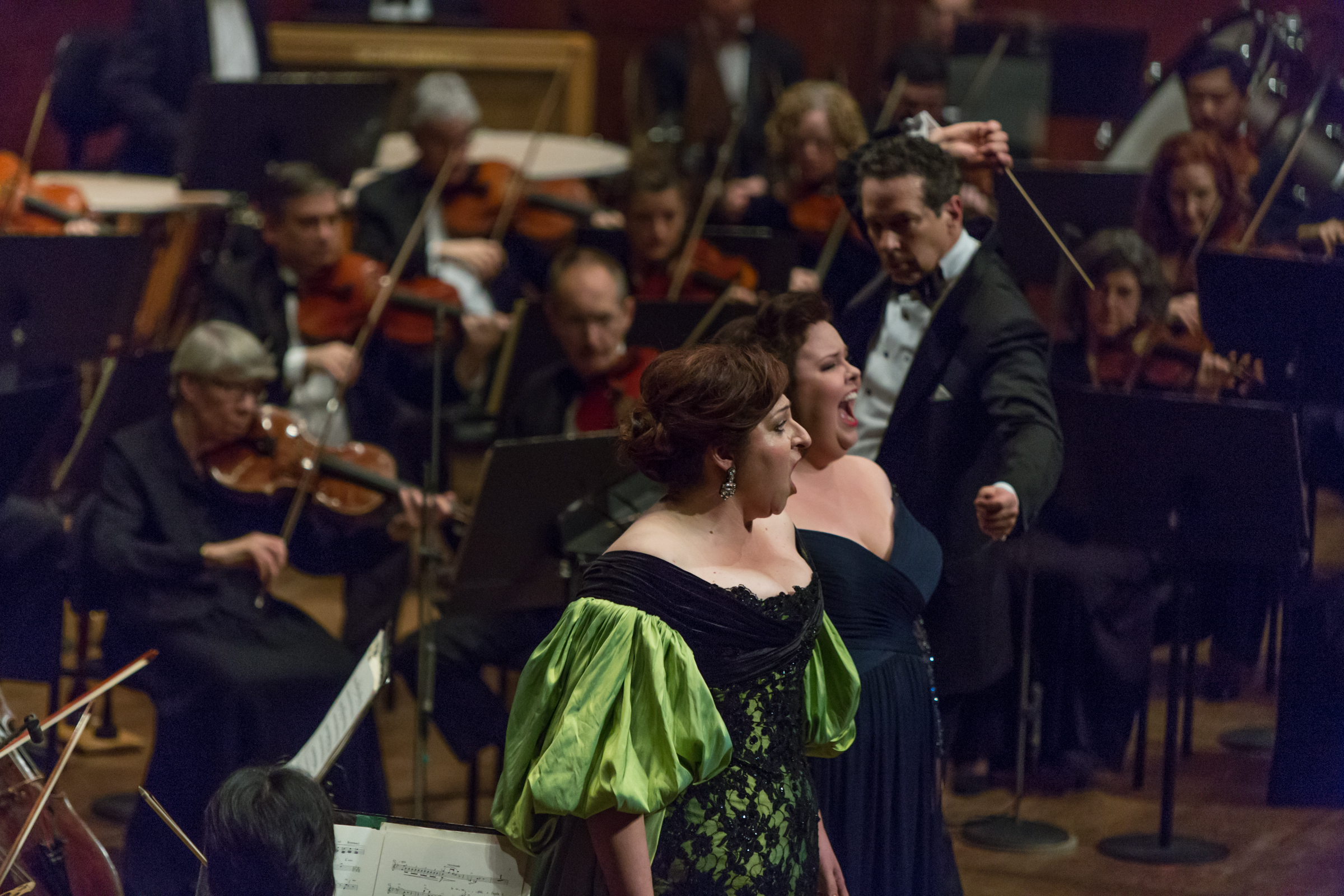 2015 Richard Tucker Music Foundation Gala