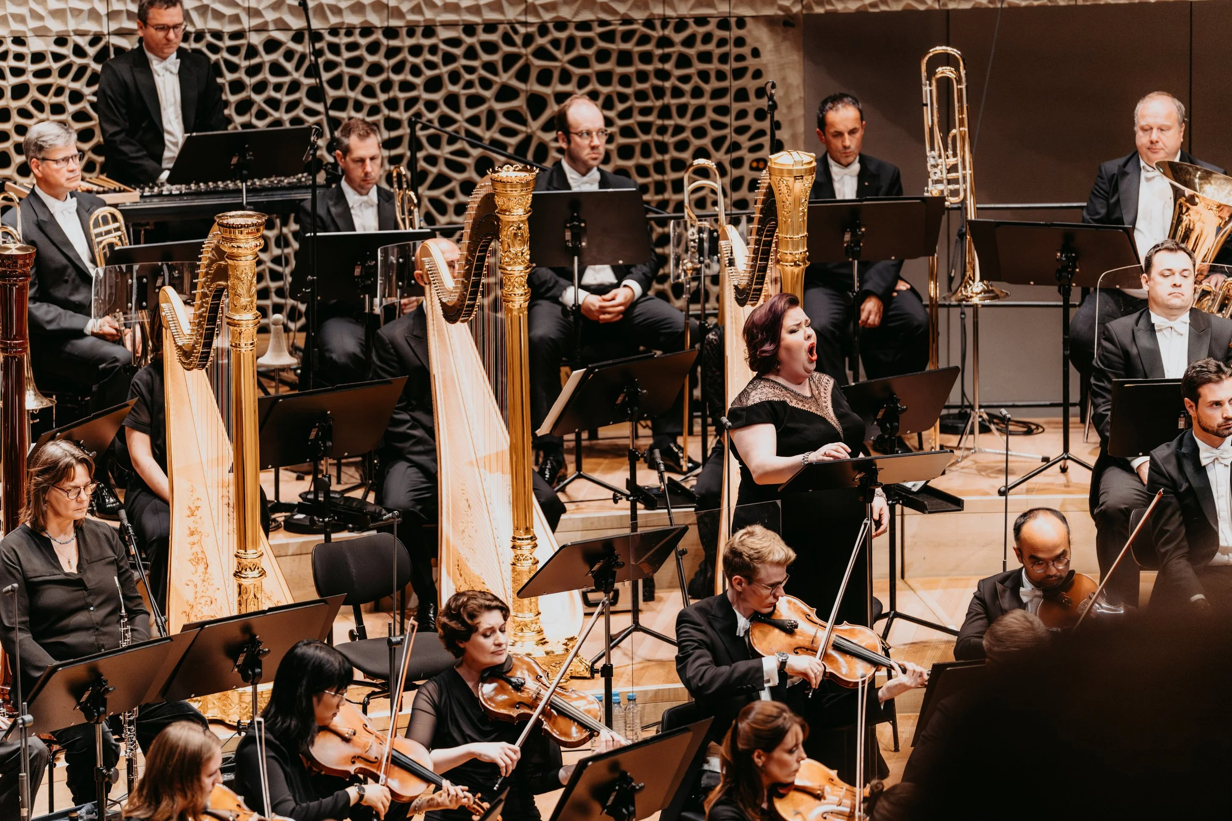 Soloist in GURRE-LIEDER