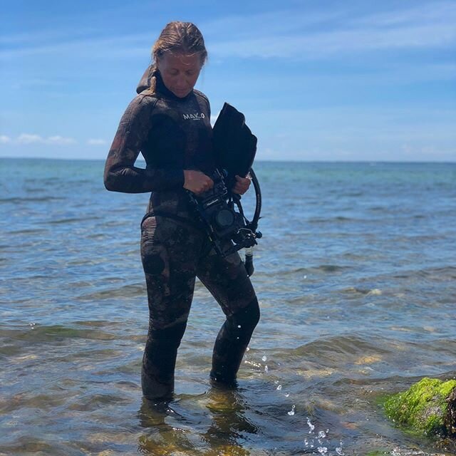 More ocean time today! This time under the surface...#goexplore
.
.
.
.
.
.
#ocean #freediving #montauk #explore #underwater #diving #saltwater #nature #makospearguns