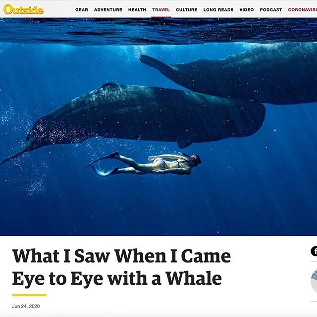 Just in time for #WhaleWednesday,  The @outsidemagazine article about our sperm whale expedition is online! Check it out at outsideonline.com .
Words by #rowanjacobsen and photos by @katieorlinsky. .
.
.
.
.
#outside #oustidemagazine #whales #spermwh