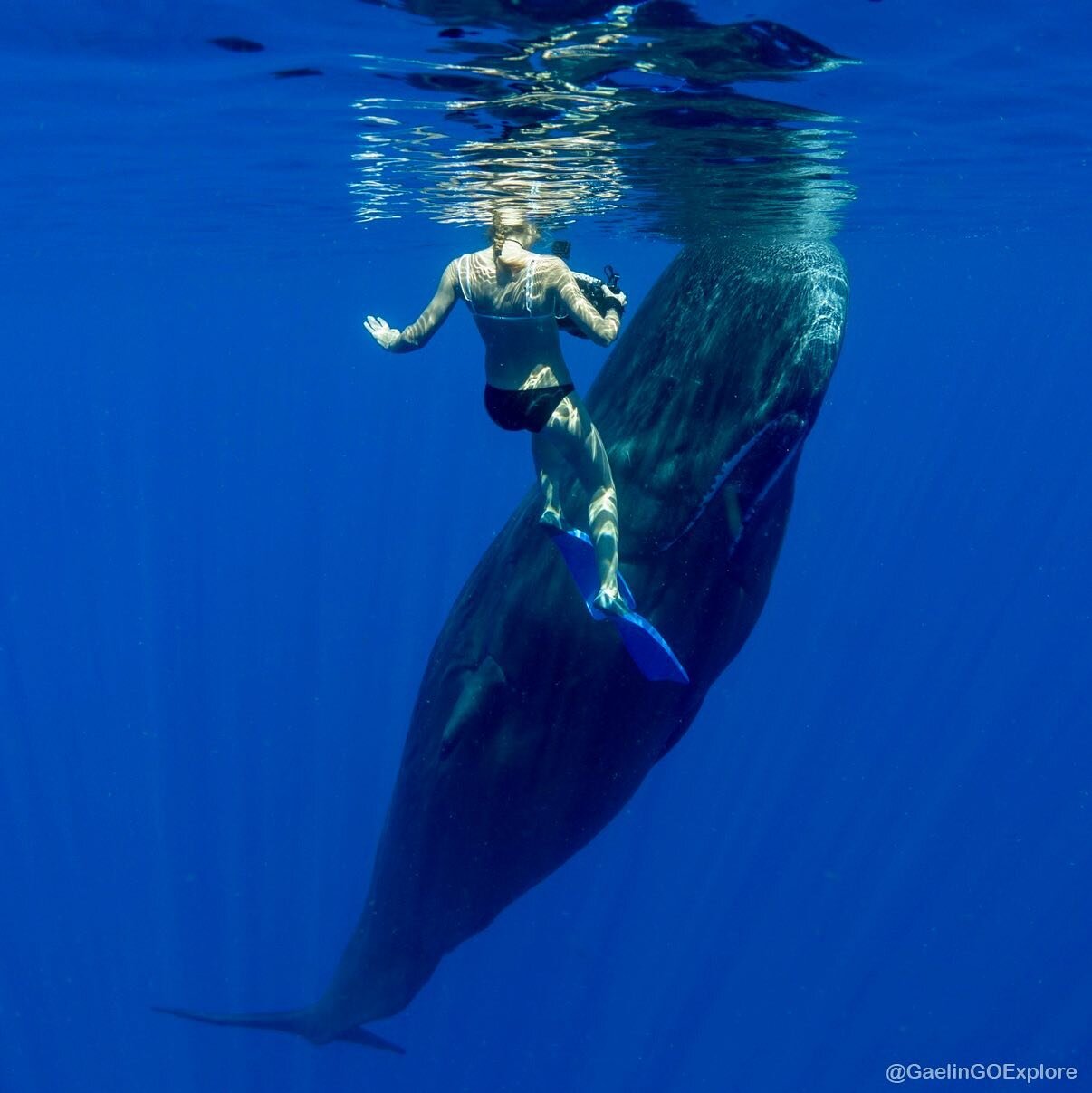 Sperm whales are spectacular animals, and spending time with them has been a privilege. This particular whale decided to hang out with me for about a half hour. I didn&rsquo;t have to swim or do anything. We just locked eyes and got to know one anoth