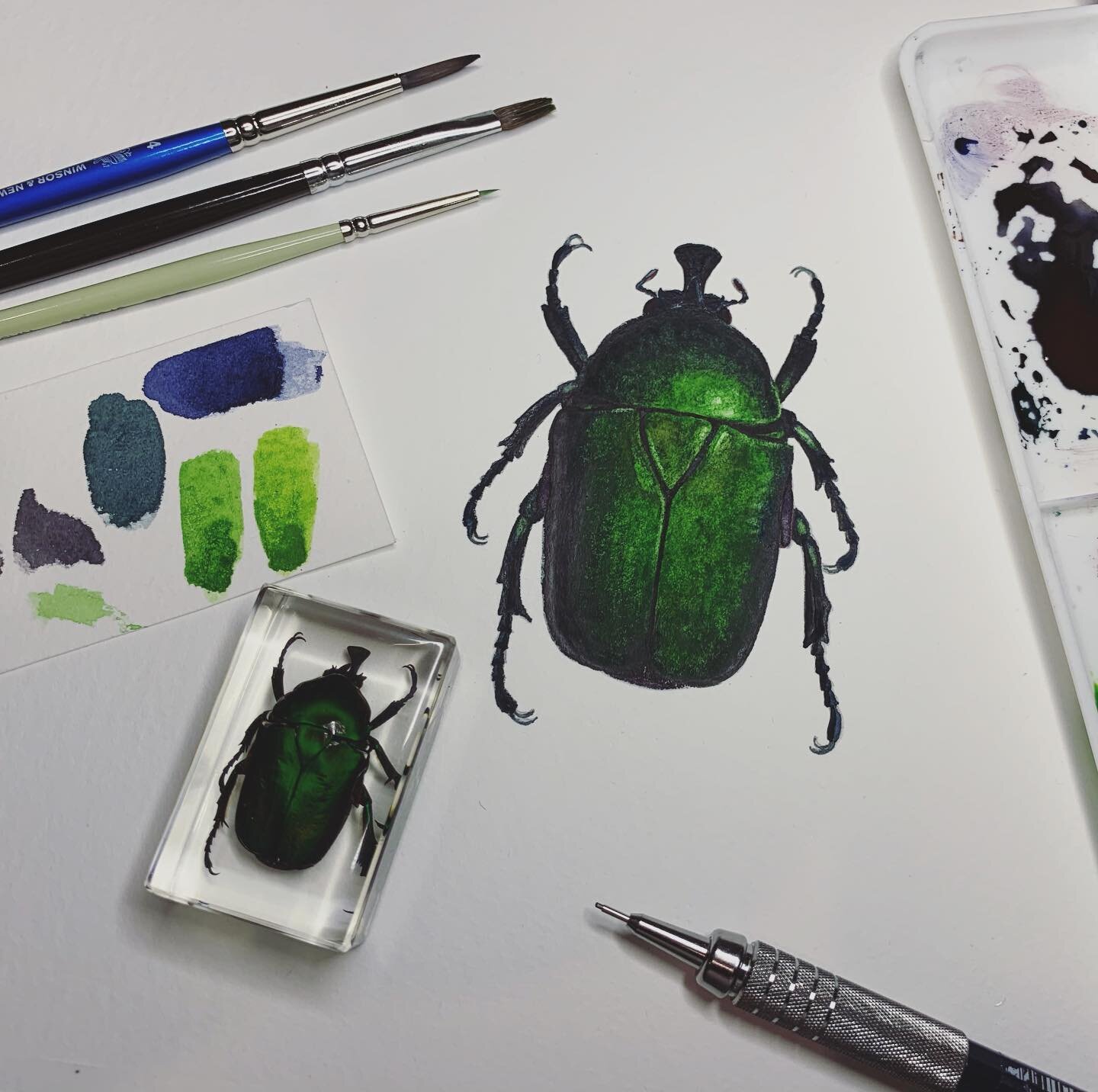 Next demonstration video in the art lessons series through www.thefoster.org/mattias 🪲 
.
.
.
.
.
.
#thefoster #painting #watercolor #watercolour #insect #acuarela #iridescent #winsorandnewton #lesson #artlesson #artdemo