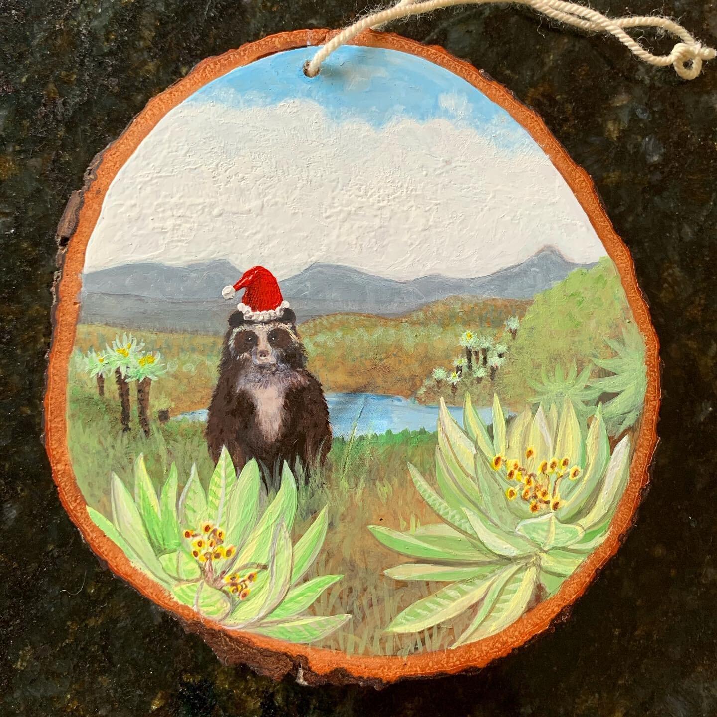 Feliz Navidad del P&aacute;ramo Colombiano! Merry Christmas from the Colombian Paramo! An ornament to mark my time in Bogot&aacute;.
.
.
.
.
.
.
#christmas #2020 #ornament #spectacledbear #paramo #andes #colombia #bogota #paintint #acrylics #acrylicp